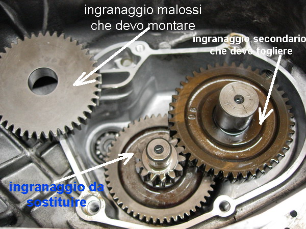 Immagine inserita